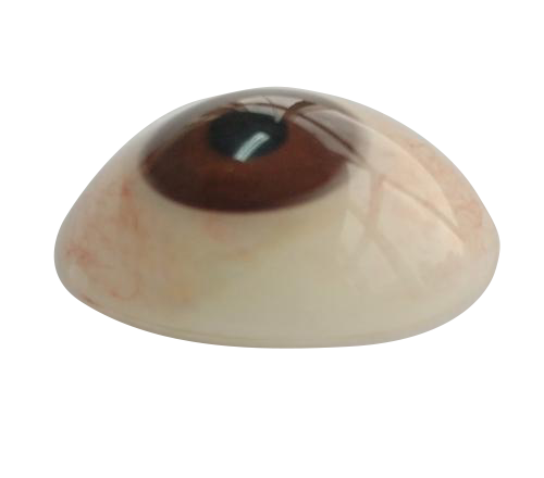 运城微雕义眼定制